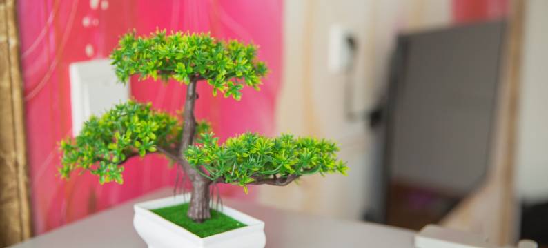 如家小憩123客栈(晋阳街分店)图片