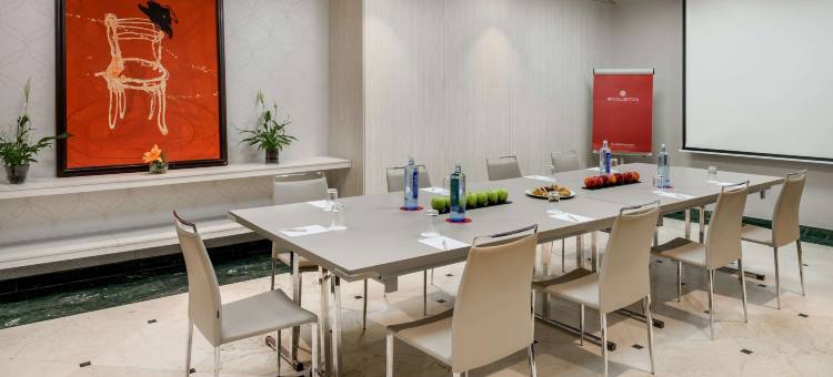 阿瓦斯卡尔NH典藏酒店(NH Collection Madrid Abascal)图片