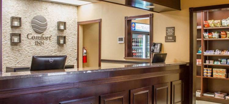 塞奥西特长岛舒适酒店(Comfort Inn Syosset-Long Island)图片