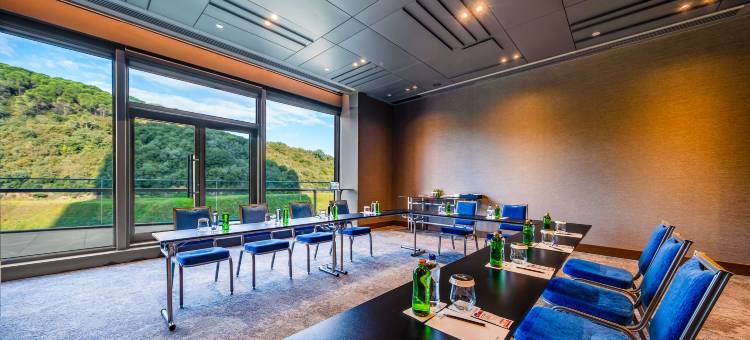 瓦迪斯坦布尔丽笙精选酒店(Radisson Collection Hotel Vadistanbul)图片