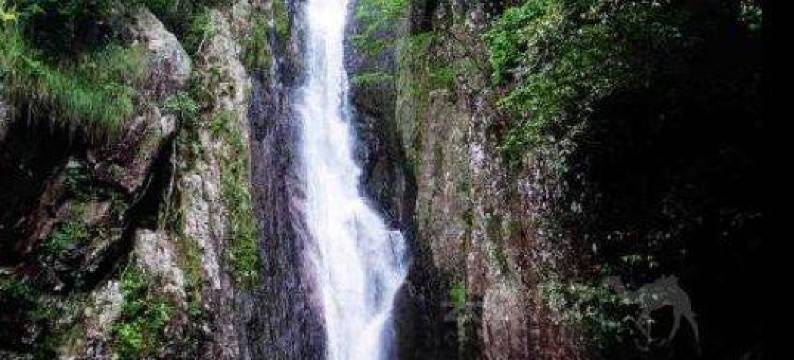 楠溪江安康宾馆图片