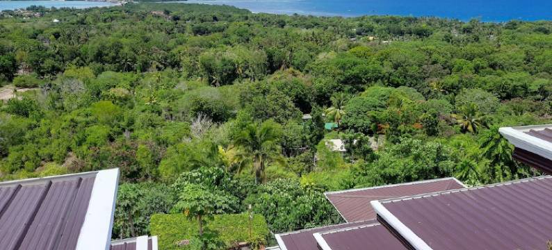 保和岛华帝度假村(Bohol Vantage Resort)图片