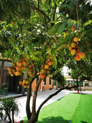 海鸥岛千喜民宿(村府路分店)