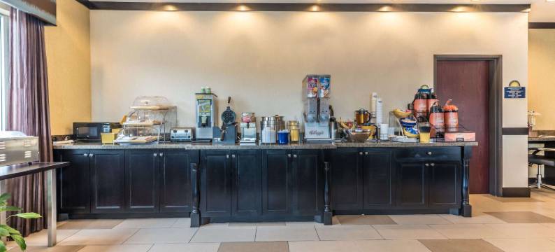 矿泉井城戴斯套房酒店(Days Inn & Suites by Wyndham Mineral Wells)图片