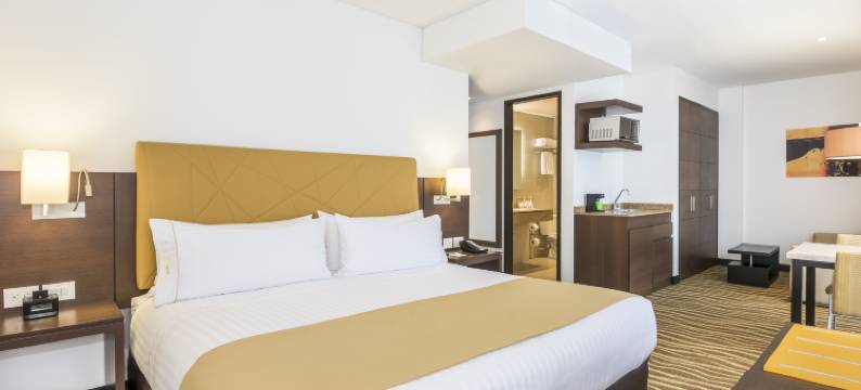 智选假日套房酒店波哥大(Holiday Inn Express & Suites BOGOTA DC by IHG)图片