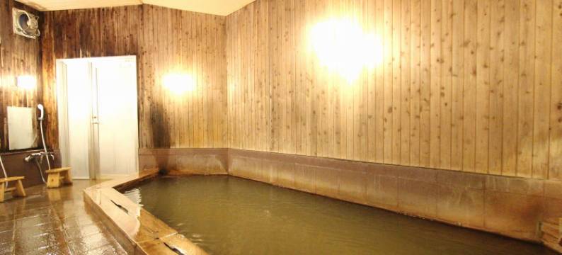 黑拉尤诺莫利酒店(Hotel Hirayunomori Annex)图片