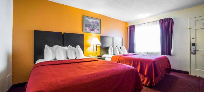 金曼66号公路罗德威酒店(Rodeway Inn Kingman Route 66)图片