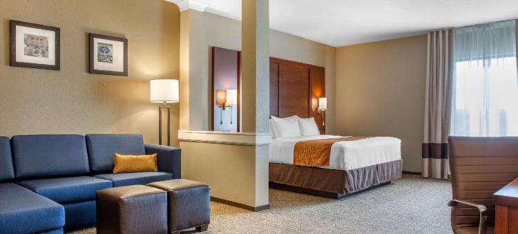 博伊西机场舒适套房酒店(Comfort Inn & Suites Boise Airport)图片