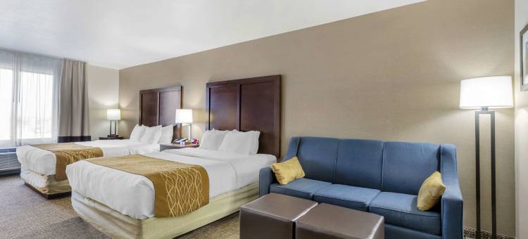 舒适酒店及套房米切尔I-90(Comfort Inn & Suites Mitchell I-90)图片