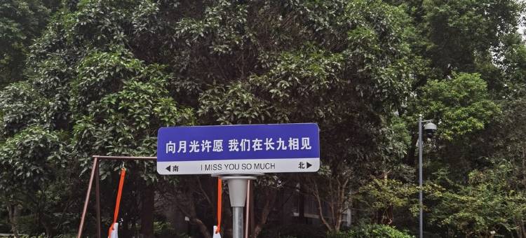 长江九号公寓(长江路分店)图片