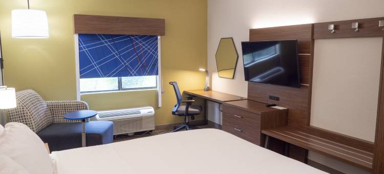 智选假日套房酒店格林维尔机场(Holiday Inn Express & Suites Greenville Airport)图片