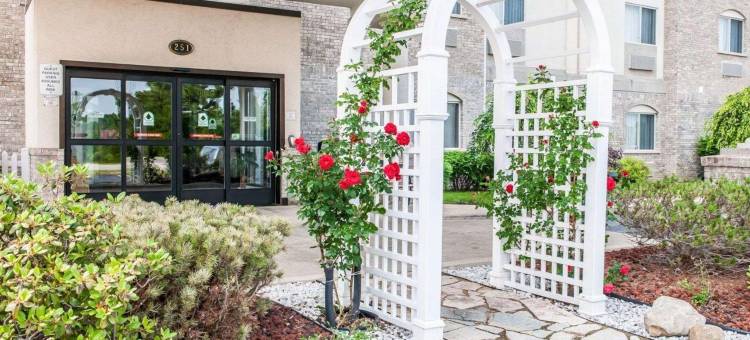 舒适酒店弗里蒙特(Comfort Inn Fremont)图片