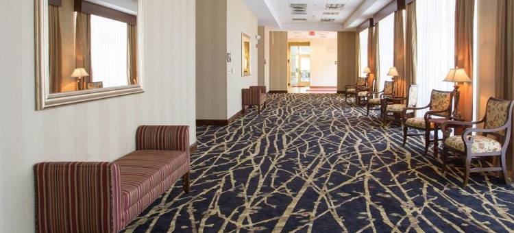 希尔顿欢朋套房酒店-南派恩斯派恩赫斯特(Hampton Inn & Suites Southern Pines-Pinehurst)图片