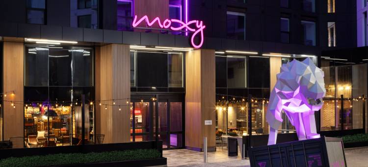哈里法克斯市中心MOXY酒店(Moxy Halifax Downtown)图片