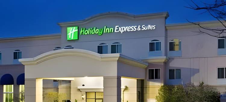 智选假日套房酒店芝加哥 - 利伯蒂维尔 by IHG(Holiday Inn Express & Suites Chicago-Libertyville)图片