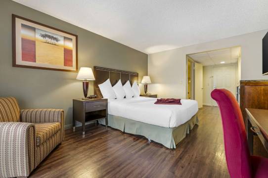 棕榈沙漠贝斯特韦斯特优质酒店及度假村(Best Western Plus Palm Desert Resort)