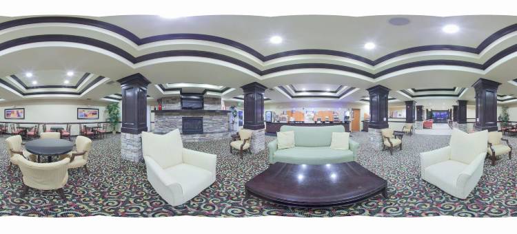 智选假日套房酒店林肯罗斯维尔地区(Holiday Inn Express & Suites Lincoln-Roseville Area)图片