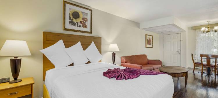 棕榈沙漠贝斯特韦斯特优质酒店及度假村(Best Western Plus Palm Desert Resort)图片