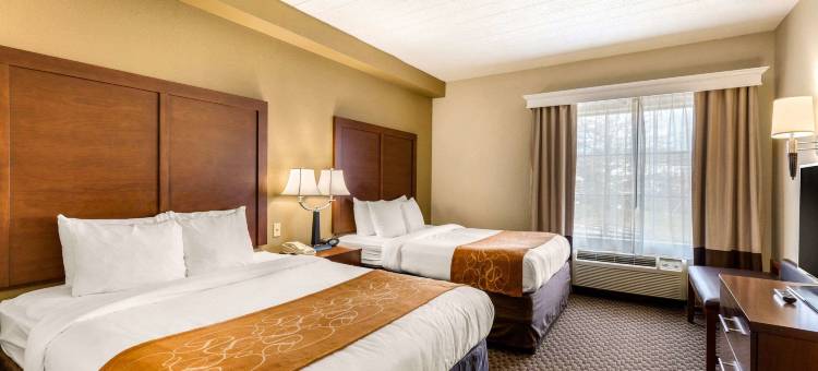 万豪City Express埃尔克里奇酒店(City Express by Marriott Elkridge)图片
