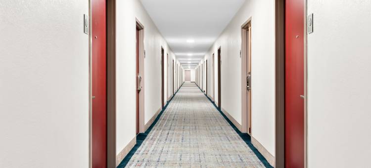 哈里斯堡北红屋顶酒店(Red Roof Inn Harrisburg North)图片