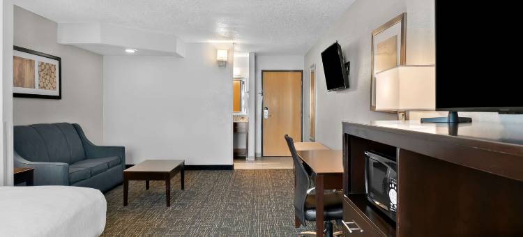 Best Western Plus Flint Airport Inn  Suites图片