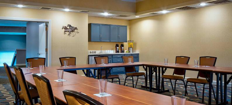 达拉斯拉斯科利纳斯居家酒店(Residence Inn Dallas Las Colinas)图片