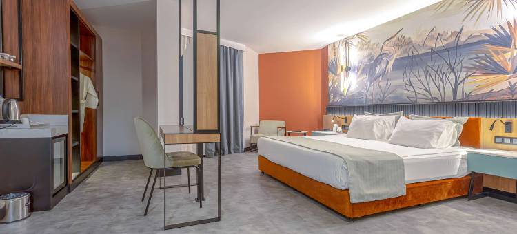 客安贝斯特韦斯特优质酒店(Best Western Plus Khan Hotel)图片