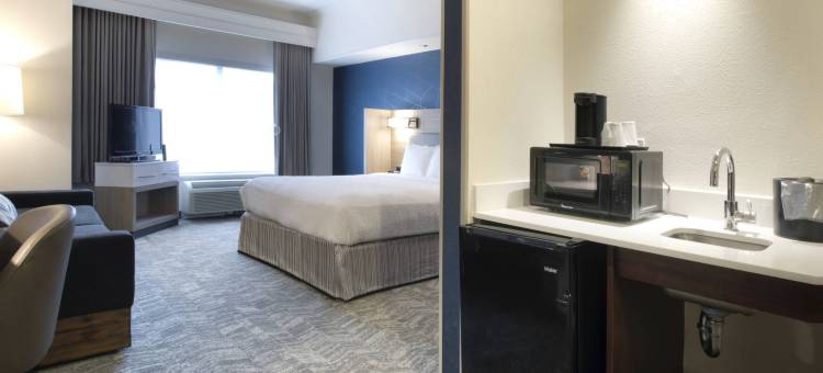 萨凡纳I-95号南万豪SpringHill酒店(SpringHill Suites Savannah I-95 South)图片