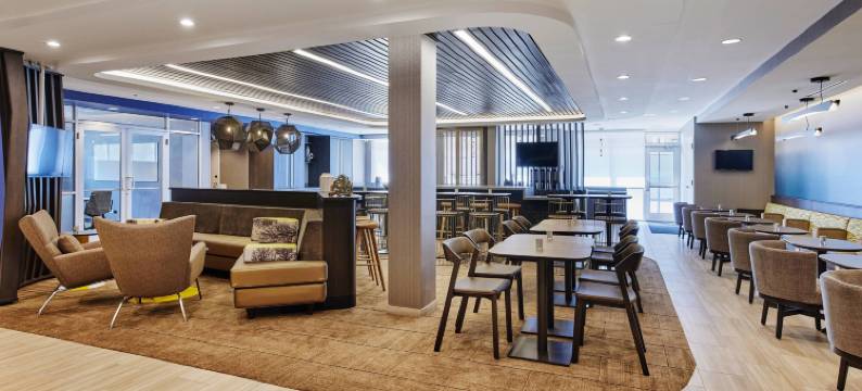 芝加哥唐人街 SpringHill Suites 酒店(SpringHill Suites Chicago Chinatown)图片