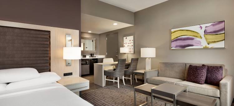 夏洛特上城希尔顿安泊酒店(Embassy Suites by Hilton Charlotte Uptown)图片