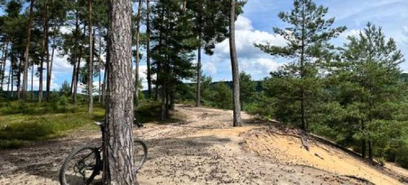 Ferienhaus Ickelhaus 1图片