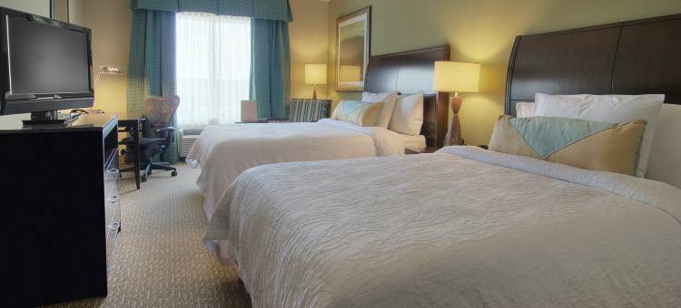 休斯顿皮尔兰希尔顿花园酒店(Hilton Garden Inn Houston-Pearland)图片