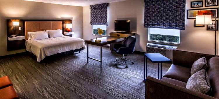 斯塔顿希尔顿欢朋酒店(Hampton Inn & Suites Staten Island)图片