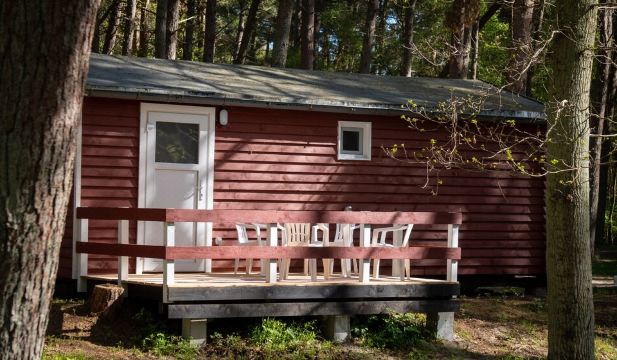 Cozy beach bungalow in the middle of nature and close to the beach. Hotel Overview
