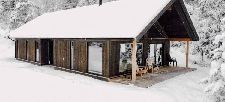 Modern Mountain Cabin - Sauna - 5 Bedrooms - Sleeps for 10图片