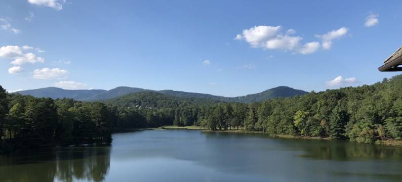 The Bee’s Knees of Big Canoe! North GA Mountain Cabin图片