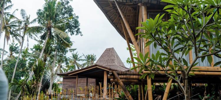 乌布别瓦达瑞度假别墅(Wadari Retreat Villa Ubud)图片