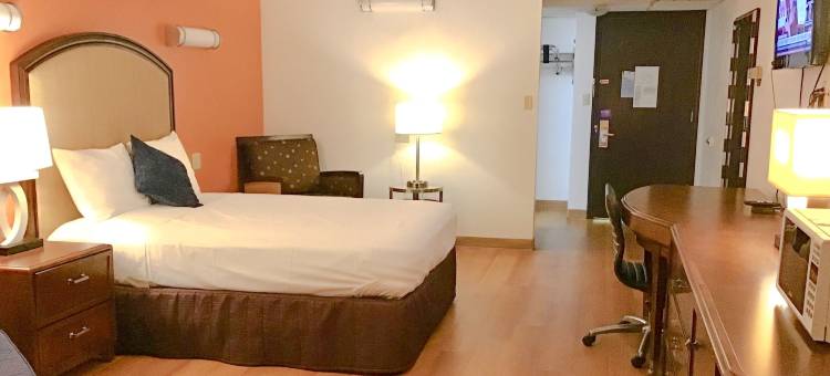 7 精品酒店(7 Boutique Hotel)图片