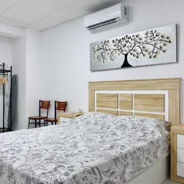 诺韦尔达塞尔吉奥民宿出租公寓(Casa Sergio de Novelda)图片