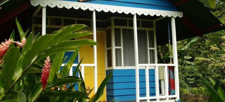 海上阳光旅馆(Hotel Casitas Mar y Luz)图片