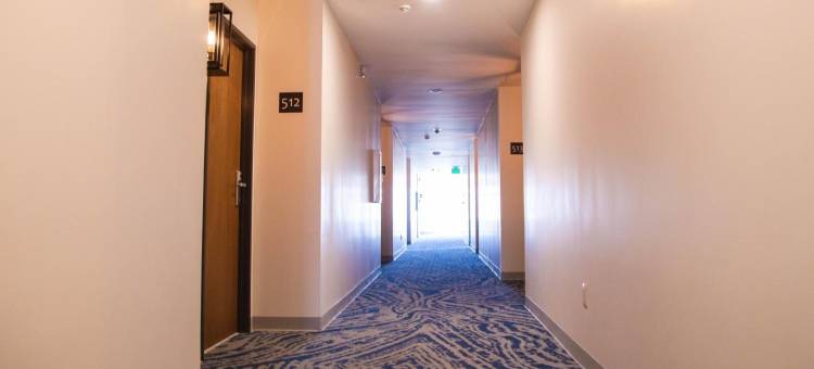 库米艾旅馆(Hotel Kumiai Inn)图片