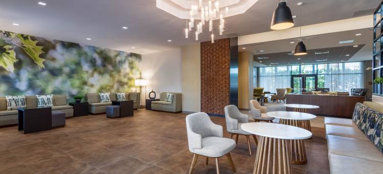 Wyndham Garden Orlando Universal / I Drive图片