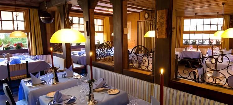 阿里斯特拉瑞士弗莱尔酒店(Hotel Aristella Swissflair)图片