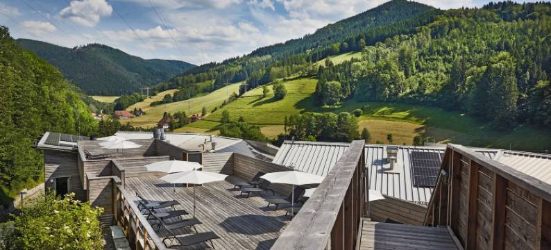 艾尔兹兰酒店孔雀养生 SPA 及维塔利斯酒店(ElzLand Hotel Pfauen Wellness & Spa)图片