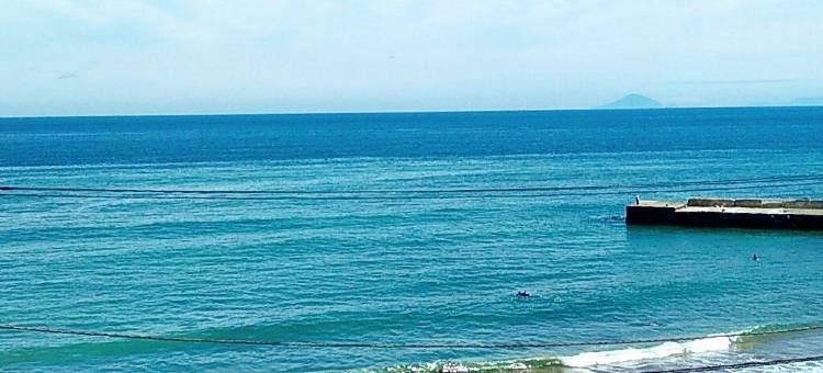 伊豆热川温泉赛塔斯皇家酒店(Hotel Cetus Royal)图片