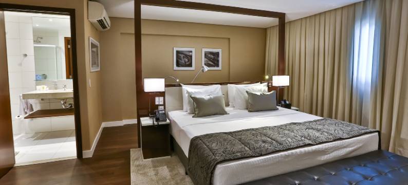 凯艺酒店-戈亚尼亚(Quality Hotel Flamboyant)图片