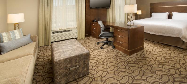 圣安东尼奥市中心/市场广场欢朋酒店及套房(Hampton Inn & Suites San Antonio-Downtown/Market Square)图片