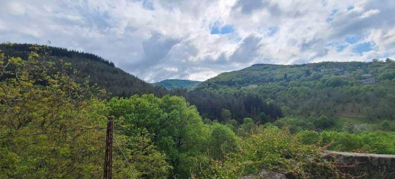 朋友们在船上 - 旅馆(Les Copains à Bord - Gîtes)图片