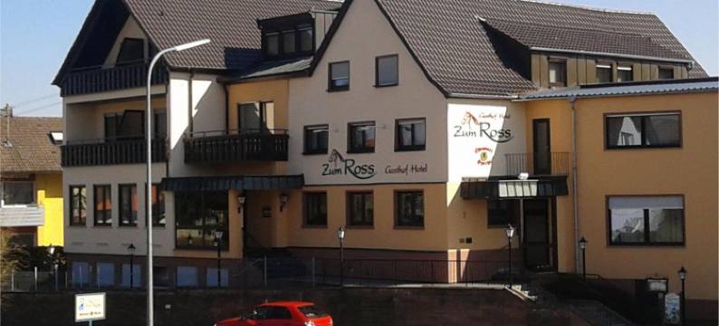 嘎斯霍夫祖姆罗斯酒店(Gasthof Hotel Zum Ross)图片