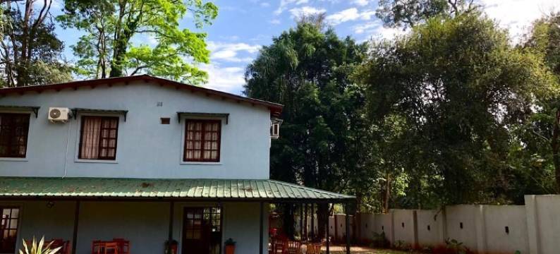 热带丛林的兰花(Orquideas de la Selva)图片